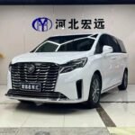 Buick GL8 Car 2022 Used Chinese Cars in South Africa Price List