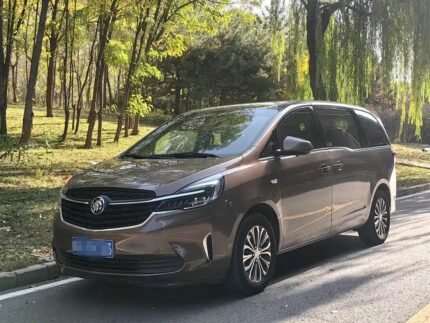 Buick GL8 Century Avenir Price 2021: New Chinese EV Value