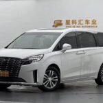 Buick GL8 for Sale - China 2 Seater Car OLX Alternatives