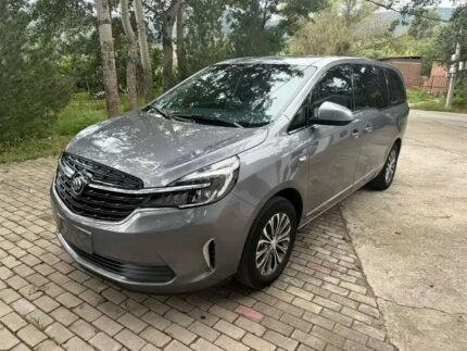 Buick GL8 Honda Odyssey 2021: Second Hand Car in China Import