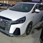 Buick GL8 Hybrid - Used Car in China Price Specials