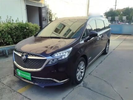 Buick GL8 Kaufen Options: Quality Chinese Vehicles