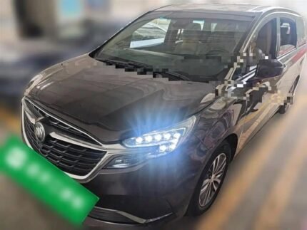 Buick GL8 Land Business Class - Used Car Parts for Sale in China