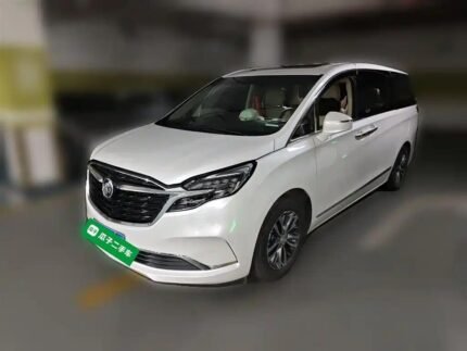 Buick GL8 Price in China Chinese Electric Car Used - Affordable 2022