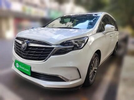 Buick GL8 Price Philippines Chinese Used Electric Cars for Sale