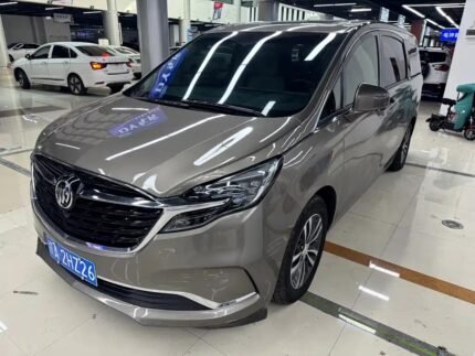 Buick GL8 Seats 2021 Used Chinese Cars in Kenya Price List Export