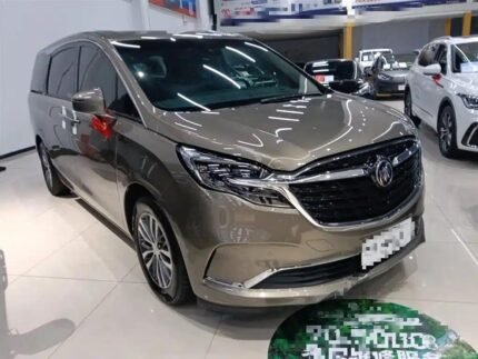 Buick's GL8 Luxury MPV Guide: How to Buy a Chinese Car
