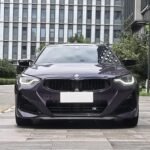 Buy 2023 BMW 2 Series 3L Petrol Imported from China