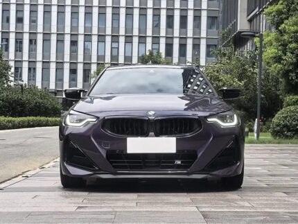 Buy 2023 BMW 2 Series 3L Petrol Imported from China