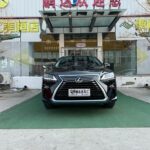 Buy Cheap Lexus RX 2019 in China