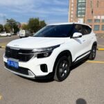 Buy Kia Seltos 2023 Overseas | Eautoexport China