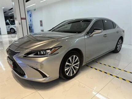 Buy Lexus ES 2020 Petrol - China Dealer