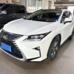 Buy Lexus RX 2019 4WD from China