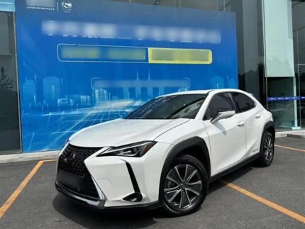 Buy Lexus UX Electric from China