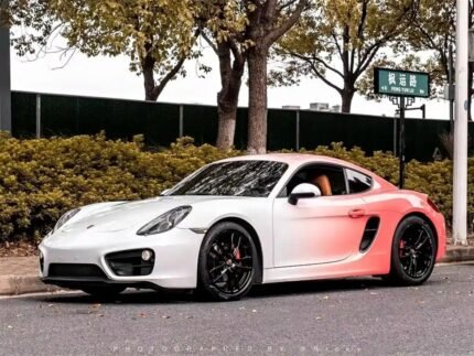 Buy Porsche Cayenne 2014 Alternative: Top Chinese SUV Exports