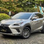 Buy Used Lexus NX 2019: Best Deals