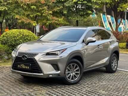 Buy Used Lexus NX 2019: Best Deals