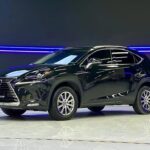 Buy Used Lexus NX 2019: Best Deals