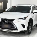 Buy Used Lexus NX 2020: Best Deals