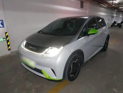BYD Dolphin Battery Capacity 2022: China EV Used Car