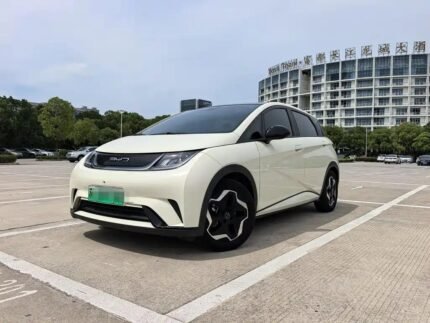 BYD Dolphin Bekas 2022 Top Chinese EV Car Companies