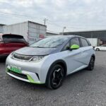 BYD Dolphin Car Price 2022 Top Chinese EV Companies