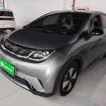 BYD Dolphin Crash Test