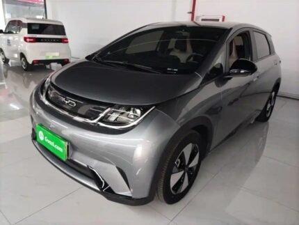 BYD Dolphin Crash Test