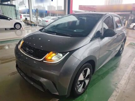 BYD Dolphin Essential 2024 Chinese Car EV