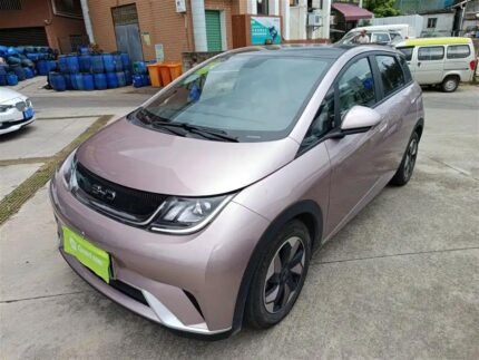 BYD Dolphin EV Price Nepal 2024: Top Chinese EV Cos