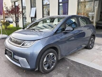 BYD Dolphin GS