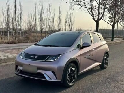 BYD Dolphin GS Preço 2022 New Chinese EV Car