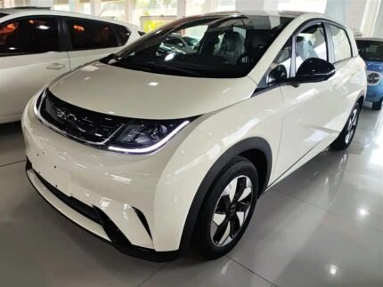 BYD Dolphin Horsepower