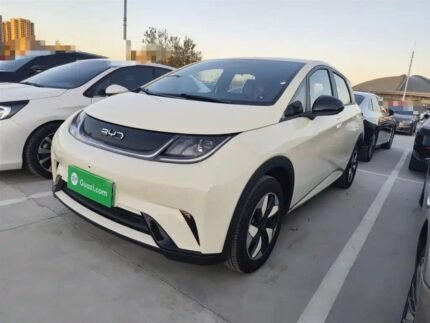 BYD Dolphin Occasion