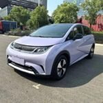 BYD Dolphin Price USD 2024: Top 5 Chinese EV Cos