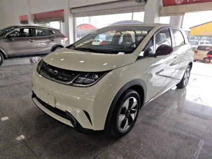 BYD Dolphin Purple