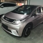 BYD Dolphin Surf South Africa 2022 Best Chinese EV Cars