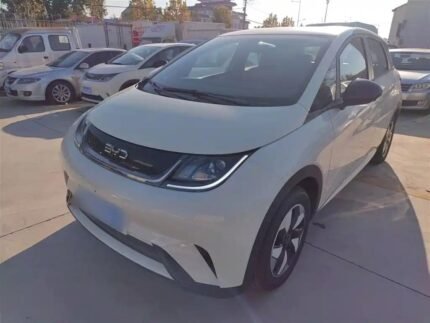 BYD Dolphin SUV