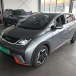 BYD Dolphin vs Dolphin Mini 2022: Used EV Car China