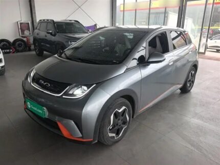BYD Dolphin vs Dolphin Mini 2022: Used EV Car China