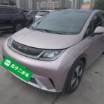 BYD Dolphin vs Dolphin Mini 2022: Used EV Car China