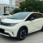 BYD Dolphin Weight 2022 Biggest Chinese EV Companies