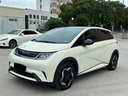 BYD Dolphin Weight 2022 Biggest Chinese EV Companies
