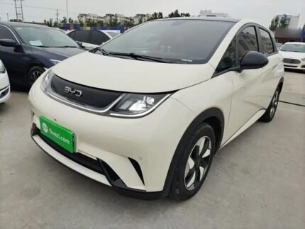BYD Dolphin White