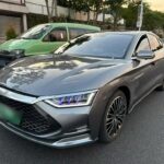 BYD Han Range 2021: Biggest Chinese Electric Cos