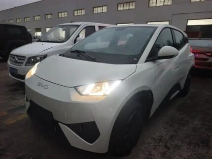 BYD Seagull 0-100 2025 Top 3 Chinese EV Companies