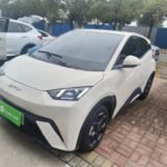 BYD Seagull Australia