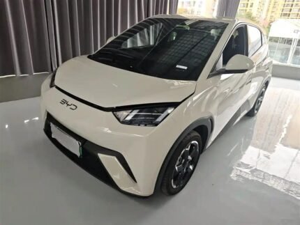 BYD Seagull Battery 2024 Biggest Chinese EV Companies