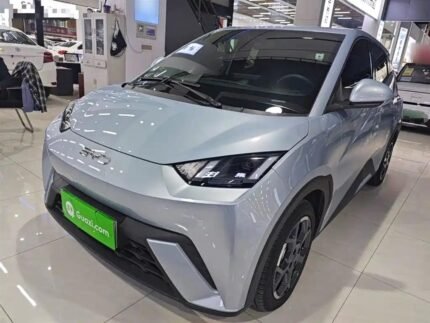 BYD Seagull Canada 2024 Top 5 Chinese EV Companies