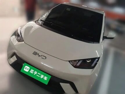 BYD Seagull Charging Time 2024 Top 5 Chinese EV Cos
